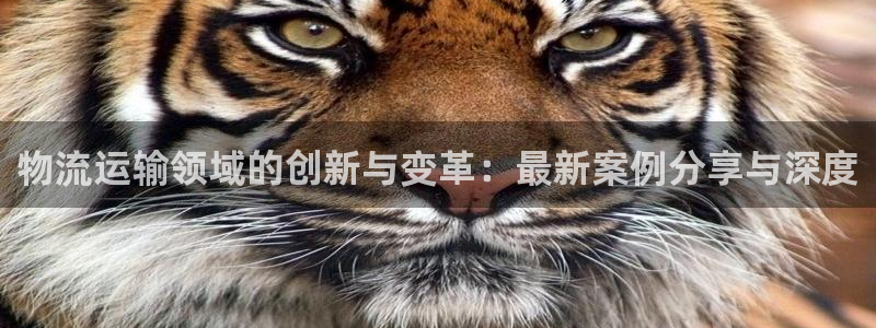 门徒娱乐系37997筘