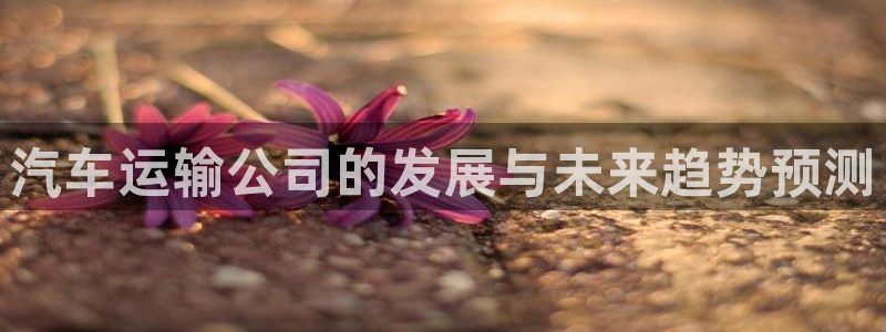 门徒娱乐是怎么赚钱的呀