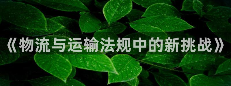 和娱乐门徒相似的小说