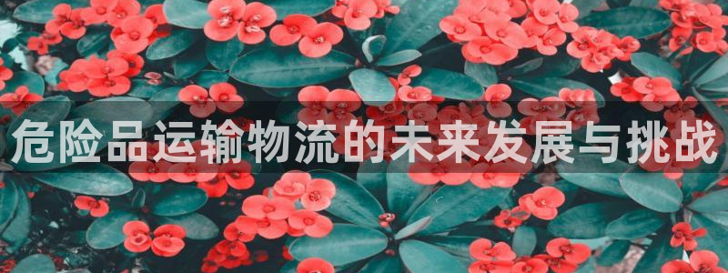 门徒娱乐团队介绍文案